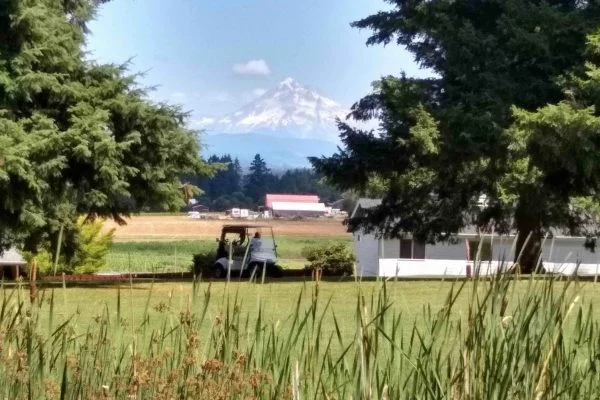 IMG_20200803_143331516_HDR