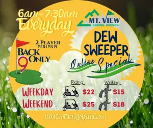 Dew Sweeper Online Special