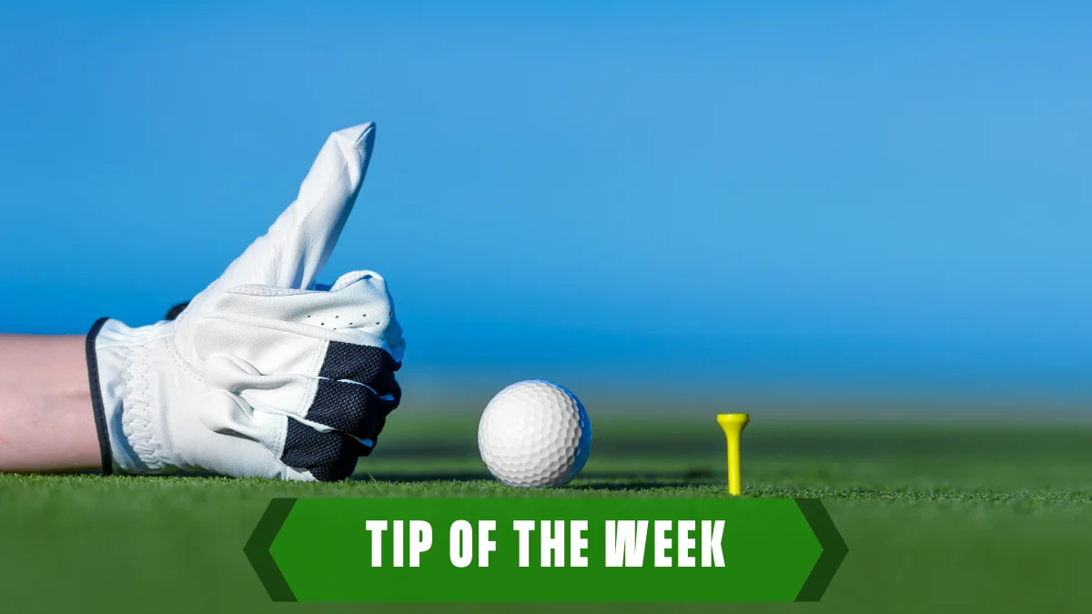 Thumbs Up, Thumbs Down