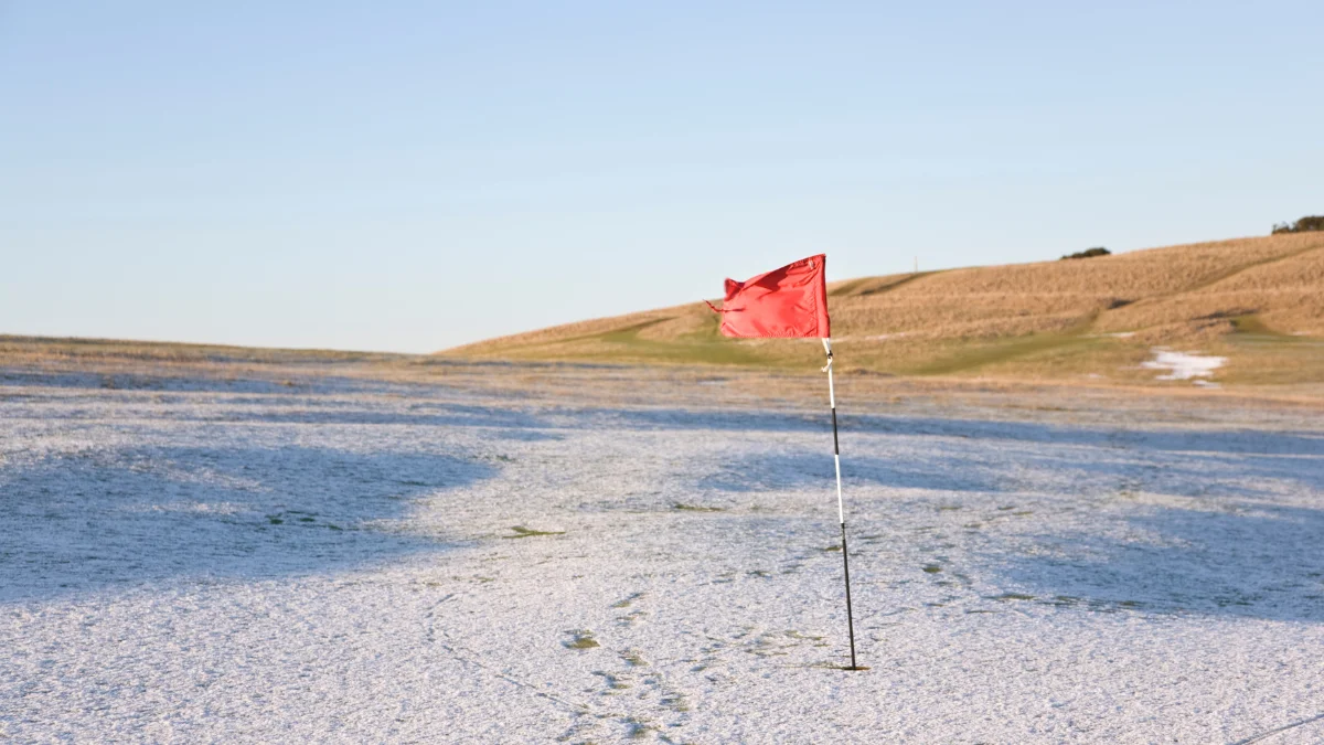 Learn Where To Hit From The Whites